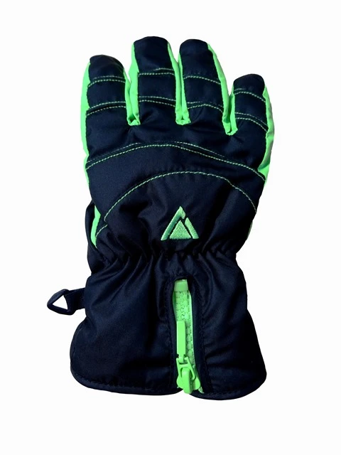 GANTS DE SKI ENFANTS LHOTSE ORGUE NOIR/VERT
